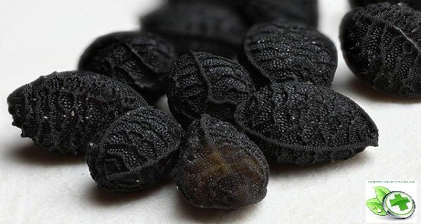 Чёрный тмин - уникальное растение, которое лечит всё, кроме смерти