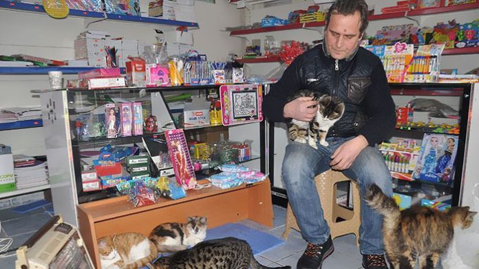 Жители Стамбула показали свою человечность, позаботившись о животных в метель