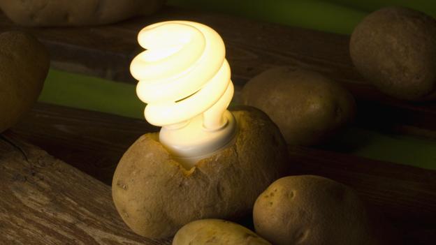 Как самостоятельно с помощью обычного картофеля освещать свой дом без электросетей
