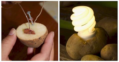 Как самостоятельно с помощью обычного картофеля освещать свой дом без электросетей