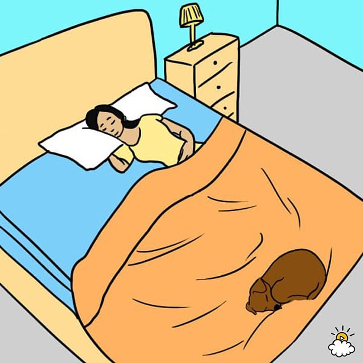 7 Неожиданных Причин, Почему Ваша Собака Должна Спать С Вами В Кровати