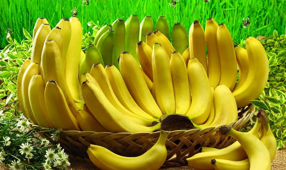 Если Вы любите бананы, то должны прочесть эти 10 невероятных фактов