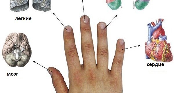 Каждый палец связан с 2-мя органами: японские методы лечения за 5 минут!