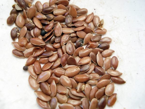 Льняное семя: маленькие зернышки очищают организм лучше любых аптечных средств!