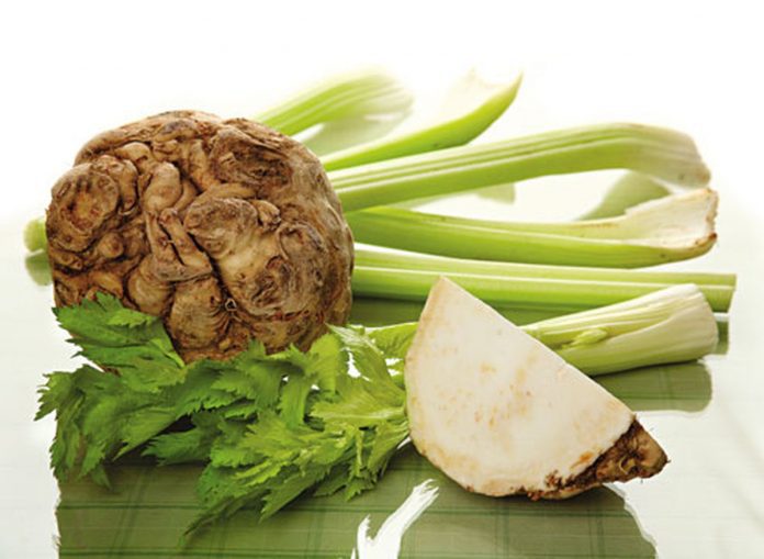 Чудо-овощ нормализует давление, снизит холестерин, оздоровит суставы!