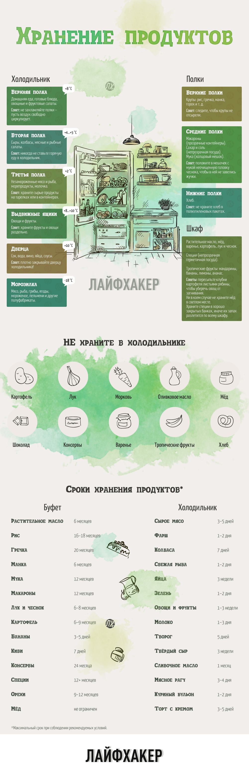 ИНФОГРАФИКА: Как хранить продукты