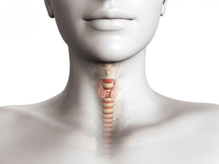 12 признаков, что ваша щитовидка не в порядке