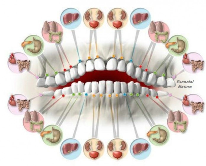 Зубы могут многое рассказать о ваших болезнях. Не знали?