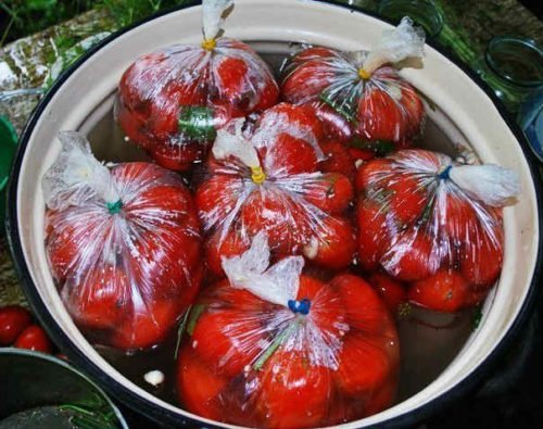 Малосольные помидоры, приготовленные в пакете