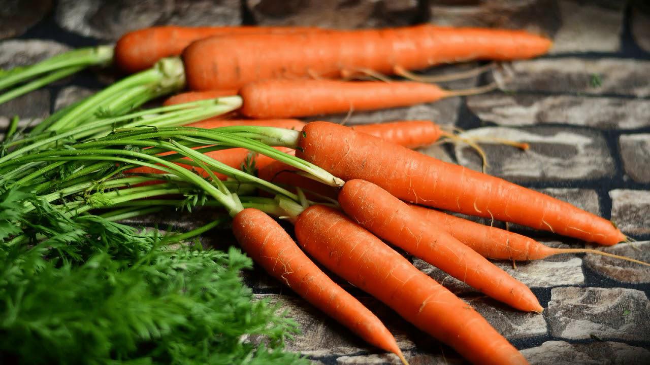 Простой способ посева моркови без прореживания с проростанием уже через 3 дня!