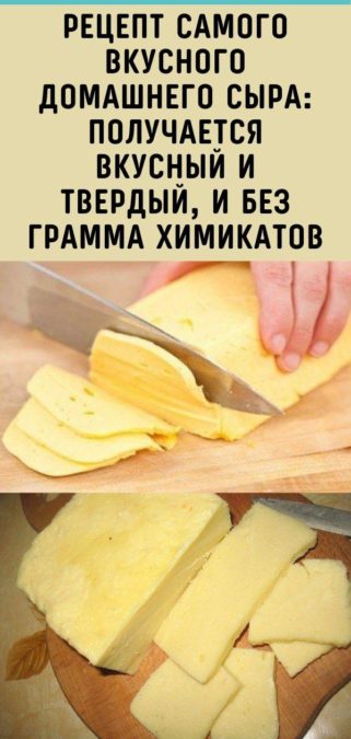 Рецепт самого вкусного домашнего сыра: получается вкусный и твердый, и без грамма химикатов