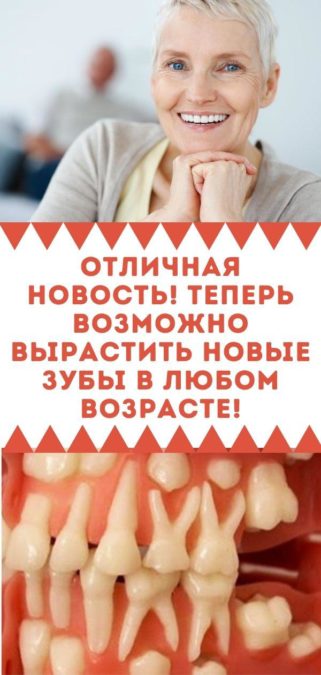 Отличная новость! Теперь возможно вырастить новые зубы в любом возрасте!