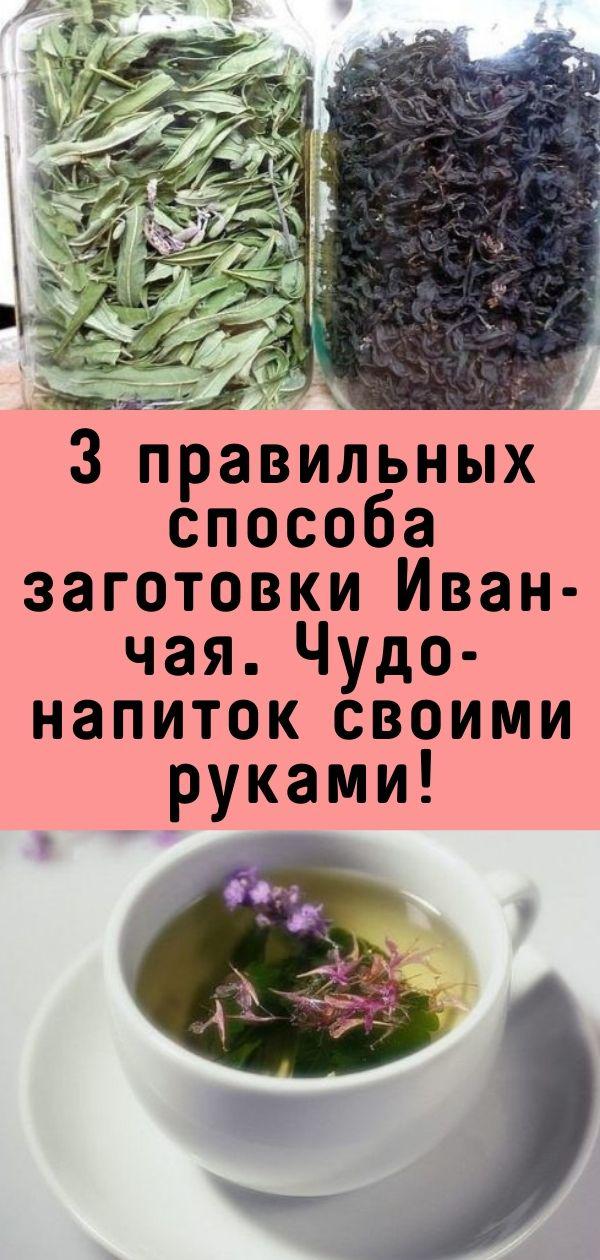3 правильных способа заготовки Иван-чая. Чудо-напиток своими руками!