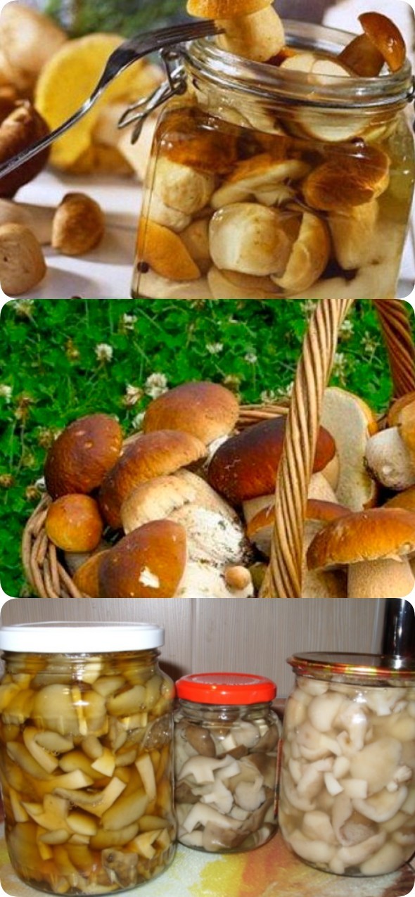 Грибной маринад: подойдет для консервации любых грибов (пошаговый рецепт)
