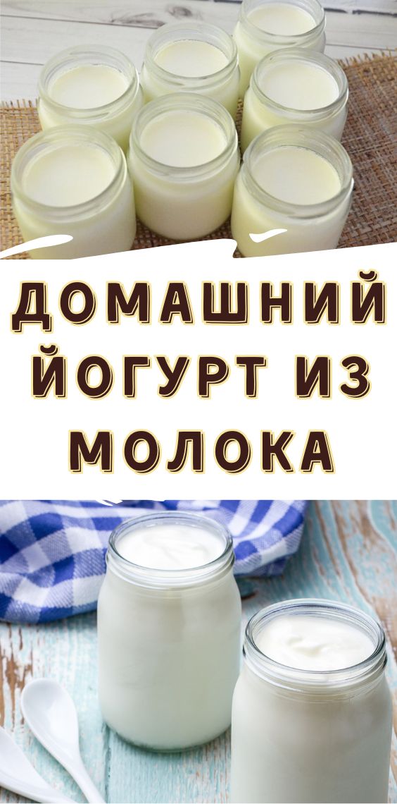 Домашний йогурт из молока